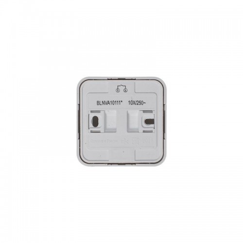 Выключатель 1-кл. ОП Blanca 10А IP20 (сх. 1) 250В с изолир. пластиной бел. SE BLNVA101011