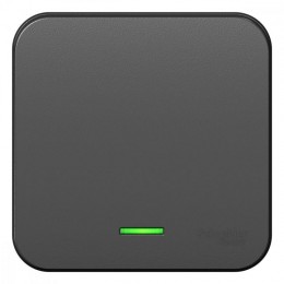 Выключатель 1-кл. ОП Blanca 10А IP20 (сх. 1) 250В с подсветкой с изолир. пластиной антрацит SE BLNVA101116