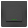 Выключатель 1-кл. СП Blanca 10А IP20 (сх. 1) 250В с подсветкой антрацит SE BLNVS010116