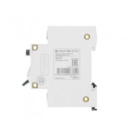 Выключатель автоматический дифференциального тока 2п (1P+N) C 20А 30мА тип AC 4.5кА City9 Set 230В SE C9D34620