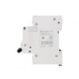 Выключатель автоматический модульный 2п B 10А 4.5кА City9 Set 230В SE C9F14210