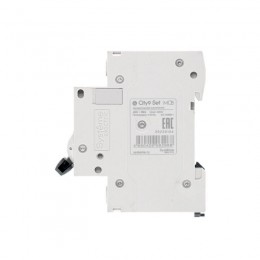 Выключатель автоматический модульный 2п B 20А 4.5кА City9 Set 230В SE C9F14220