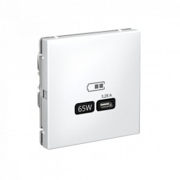 Розетка USB ArtGallery тип C 65Вт QC PD высокоскор. ЗУ механизм бел. SE GAL000127