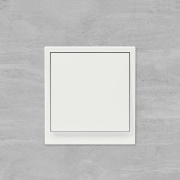 Инвертор 1-кл. KANT бел. магнолия DKC 7000123