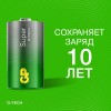 Элемент питания алкалиновый D/LR20 1.5В Super Alkaline G-Tech 13AA21-2CRSBC2 20/160 (блист.2шт) GP 1225