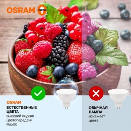 Лампа светодиодная LED Value LVMR1635 5SW/865 5Вт GU5.3 230В 10х1 RU OSRAM 4058075582484