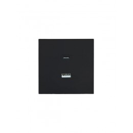 Розетка Type-C+ USB разъем СП ZIMA IP20 черн. бархат LEZARD 704-4288-192TC