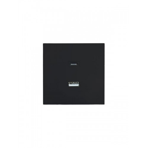 Розетка Type-C+ USB разъем СП ZIMA IP20 черн. бархат LEZARD 704-4288-192TC