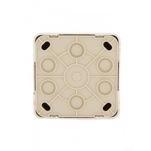 Розетка компьютерная 1-м ОП Viola RJ45 беленый дуб LEZARD 751-5200-139