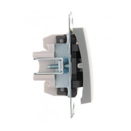 Выключатель 1-кл. 1п СП Karina 10А IP20 с подсветкой механизм матов. серебр. LEZARD 707-4388-111