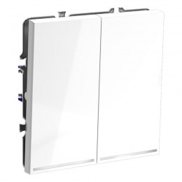 Выключатель 2-кл. СП S70 10А с подсветкой механизм бел. глянцевый Voltum VLS020201