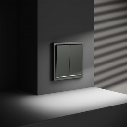 Выключатель 2-кл. СП S70 10А с подсветкой механизм титан Voltum VLS020206