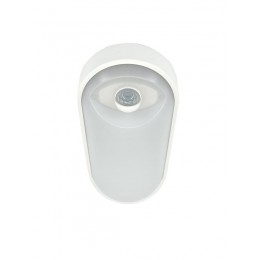 Светильник светодиодный WP 15 C 12W OP 840 W10L22 WH MDM 220х106х60мм 12Вт 4000К IP65 ЖКХ овал. пылевлагозащ. с датчиком движения бел. Русский Свет 15071524500