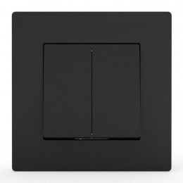 Выключатель 2-кл. СП Pixel 10А IP20 в сборе карбон TOKOV ELECTRIC TKE-PX-V2F-C14