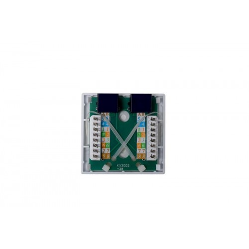 Розетка компьютерная 8P8C (RJ45) UTP кат.5E 2 порта TOKOV ELECTRIC TKE-SMB-8P8C-2P-UTP