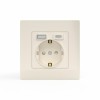Розетка 1-м СП Pixel IP20 с заземл. с 2-мя заряд. устр. USB тип A+C механизм беж. TOKOV ELECTRIC TKE-PX-R1U2AC-C02