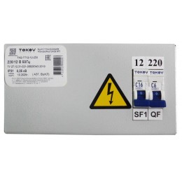 Ящик с понижающим трансформатором ЯТП 0.25 230/42 (2 авт. выкл.) IP31 TOKOV ELECTRIC TKE-TT12-42-250