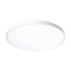 Светильник светодиодный декоративный PPB OPAL 48Вт 6500К WH d370X55 IP20 настенно-потолочный бытовой JazzWay 5060920