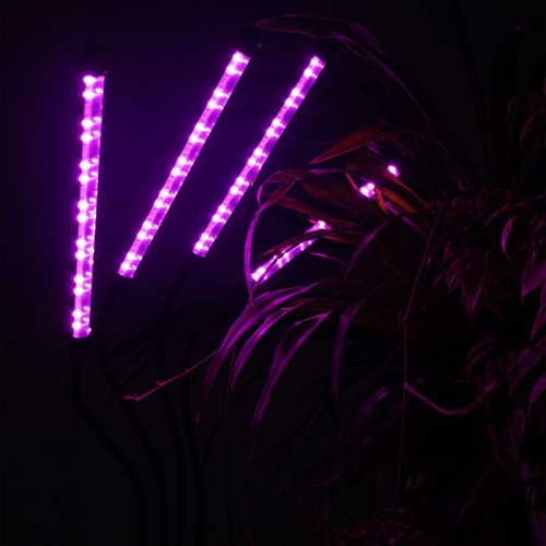 Светильник светодиодный «КРИСТАЛЛ» CTL2-USB-bl Agro для растений спектр 4 плафона по 10Вт на прищепке пульт на шнуре IP40 красн./син. ФАZА 5068810