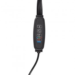 Светильник светодиодный «КРИСТАЛЛ» CTL2-USB-bl Agro для растений спектр 4 плафона по 10Вт на прищепке пульт на шнуре IP40 красн./син. ФАZА 5068810