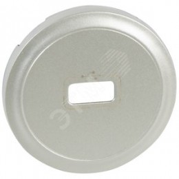 Панель лицевая розетки USB титан