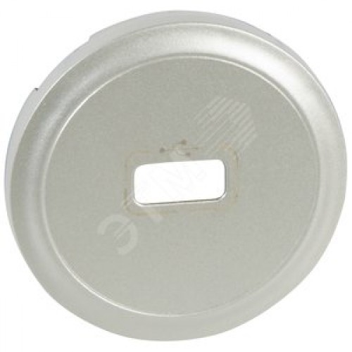 Панель лицевая розетки USB титан