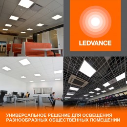Панель светодиодная 595х595 светильник ДВО 36Вт 6500К 3600Лм Белый ECOCLASS PANEL панель