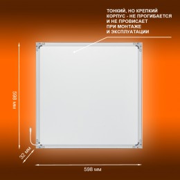 Панель светодиодная 595х595 светильник ДВО 36Вт 4000К 3600Лм Белый ECOCLASS PANEL