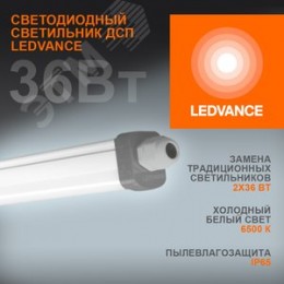 Светильник промышленный пылевлагозащищенный ДСП-36Вт 6500K 3700Лм IP65 DampProof Slim 1200