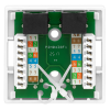 Компьютерная розетка 8P8C (RJ-45), UTP, Cat.6, 2 порта