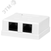 Компьютерная розетка 8P8C (RJ-45), UTP, Cat.5e, 2 порта