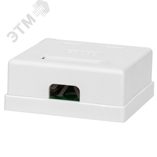 Компьютерная розетка 8P8C (RJ-45), UTP, Cat.5e, 2 порта