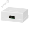 Компьютерная розетка 8P8C (RJ-45), UTP, Cat.6, 2 порта