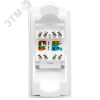 Модуль розетки 45х22,5 Mosaic в сборе UTP 8P8C    (RJ-45) cat.5e