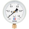 Манометр М2 радиальный ТМ-510Р.00 0...1.6 МРа 1/2' кл .т. 1.5 M2, цвет-серый