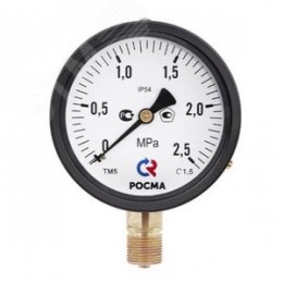 Вакуумметр радиальный ТВ-110Р.00 (-0.1-0 МРа) М10х1.0 кл.2.5