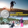 Батарейка дисковая литиевая Lithium CR2450