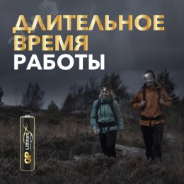 Батарейка литиевая 24LF AAА