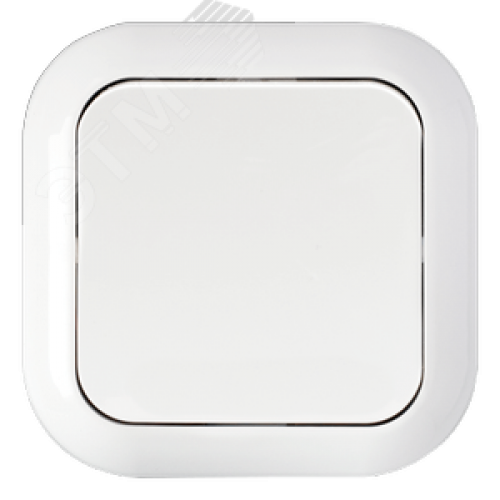 Беларусь Выключатель одноклавишный скрытый