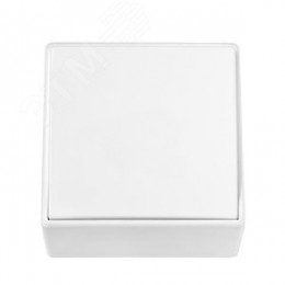 Беларусь Выключатель одноклавишный наружный