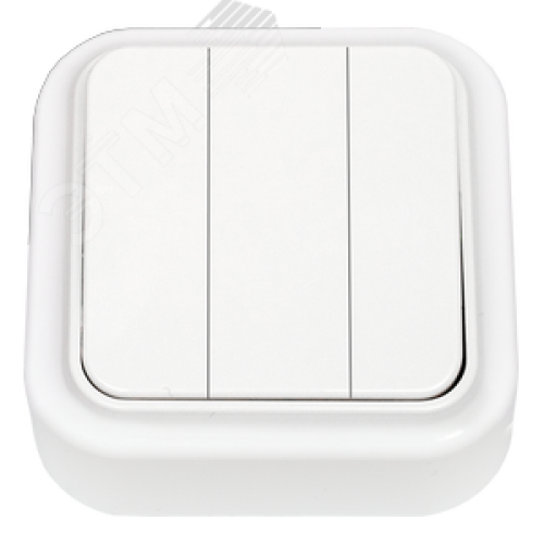 Беларусь Выключатель трехклавишный наружный