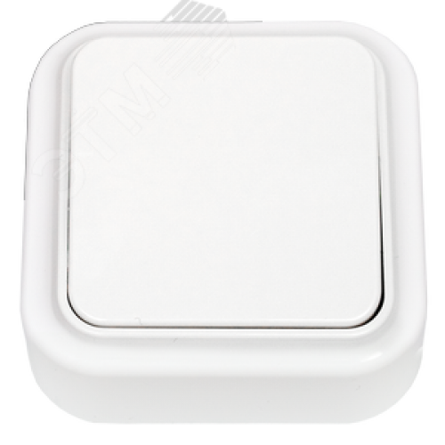 Выключатель одноклавишный наружный Пралеска