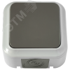 Беларусь Выключатель одноклавишный IP54 наружный