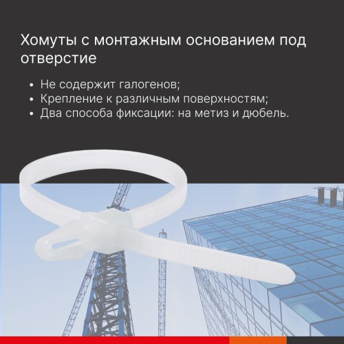 Хомут P6.6 с монтажным основанием под отверстие 4, (100 шт./упак)
