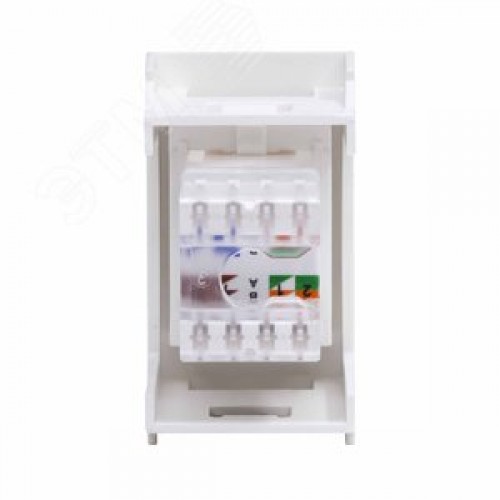 VIVA Розетка компьютерная RJ45 категория 6 1      модуль белая