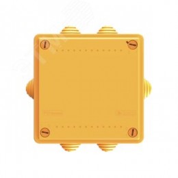 Коробка пластиковая FS с кабельными вводами и клеммниками IP55 100х100х50мм