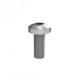 Винт М5х12 под шлиц Torx, 100 шт.