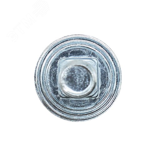 Винт крестообразный шлиц М6х10