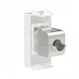 Avanti Компьютерная розетка RJ-45 без шторки      модульная кат.5е экранированная Белое облако 1    модуль