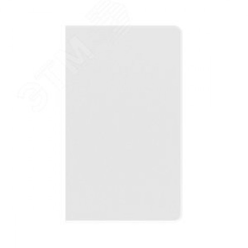 Заглушка для кабель-канала 100х60 торцевая LAN In-liner